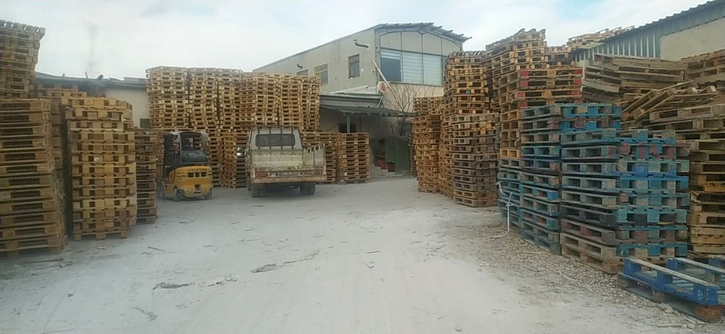 Europal Ahşap Palet
