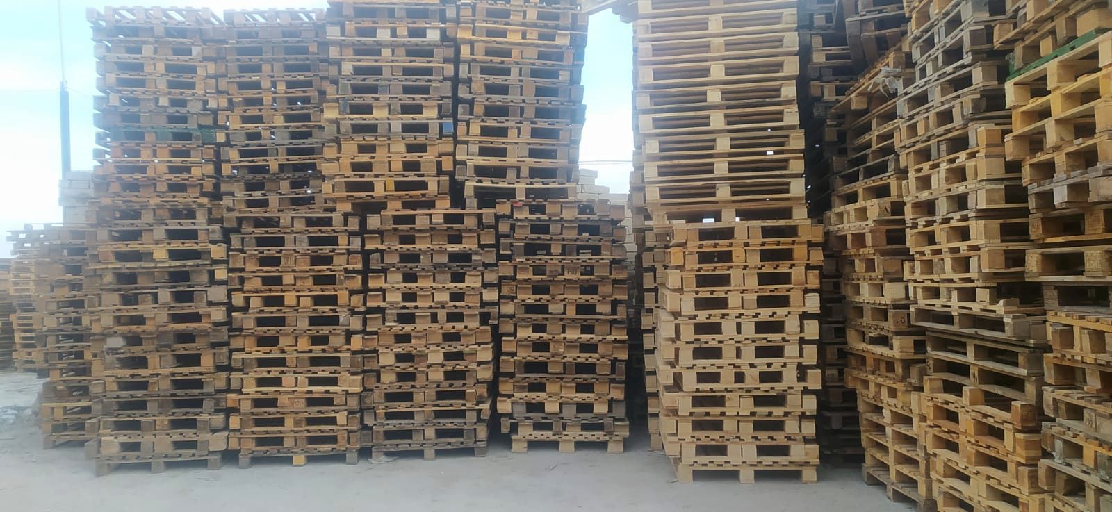 Europal Ahşap Palet
