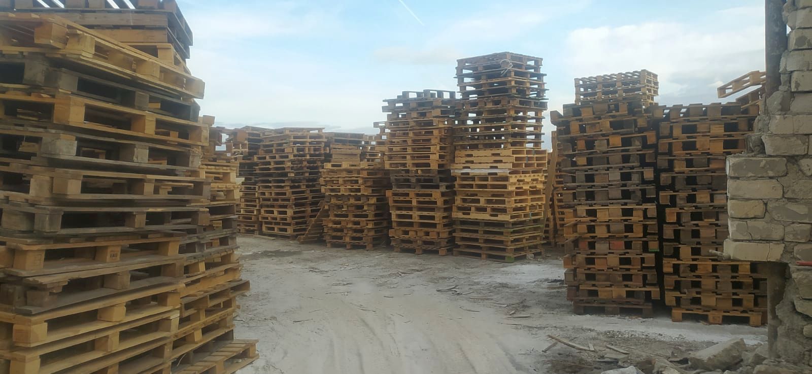 Europal Ahşap Palet